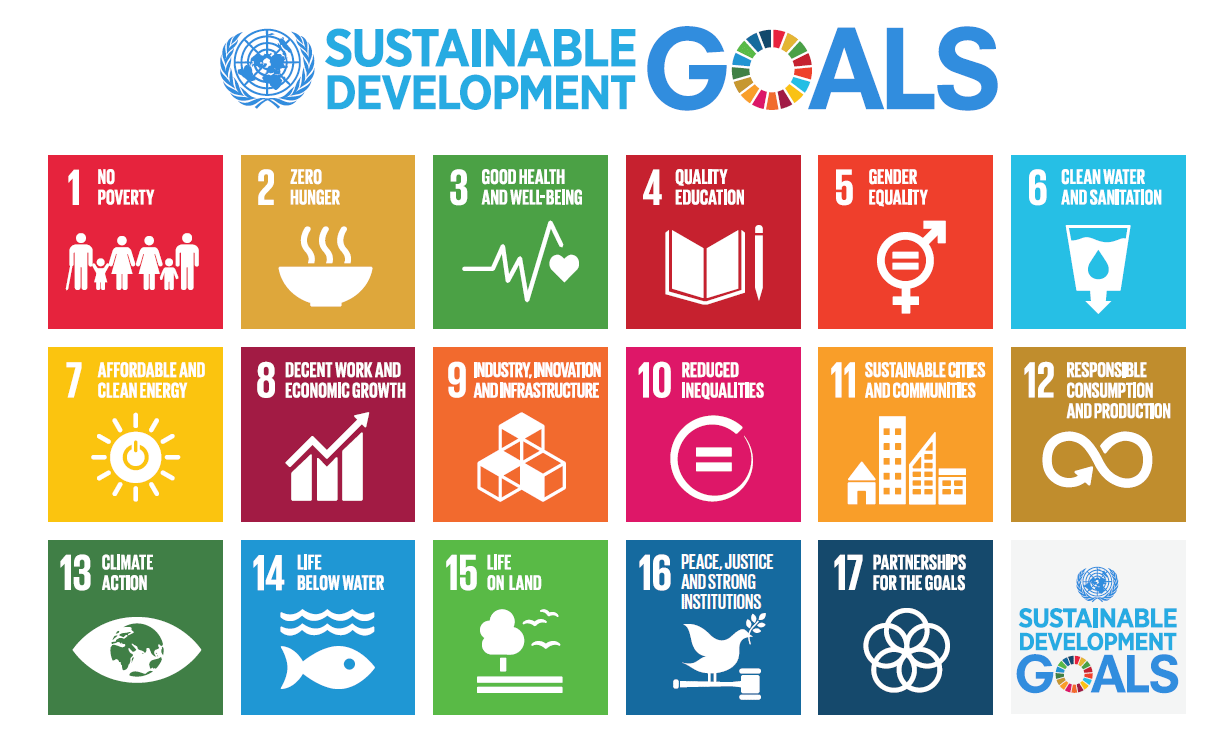 Six Transformations to achieving the Sustainable Development Goals ...