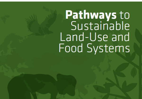 Sustainable Development Solutions Network – A Global Initiative for the ...